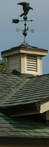 Shingles and Shakes