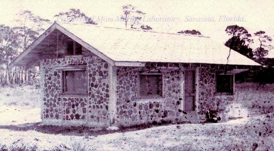 Cookie House Lab Sarasota FL